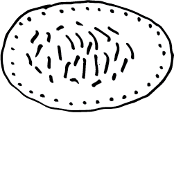 Skabesti_kaposti